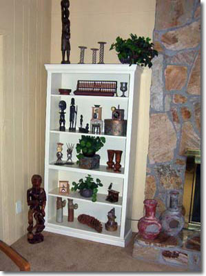 Elegant Book Case
