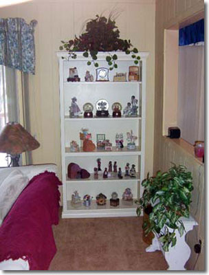 Elegant Book Case